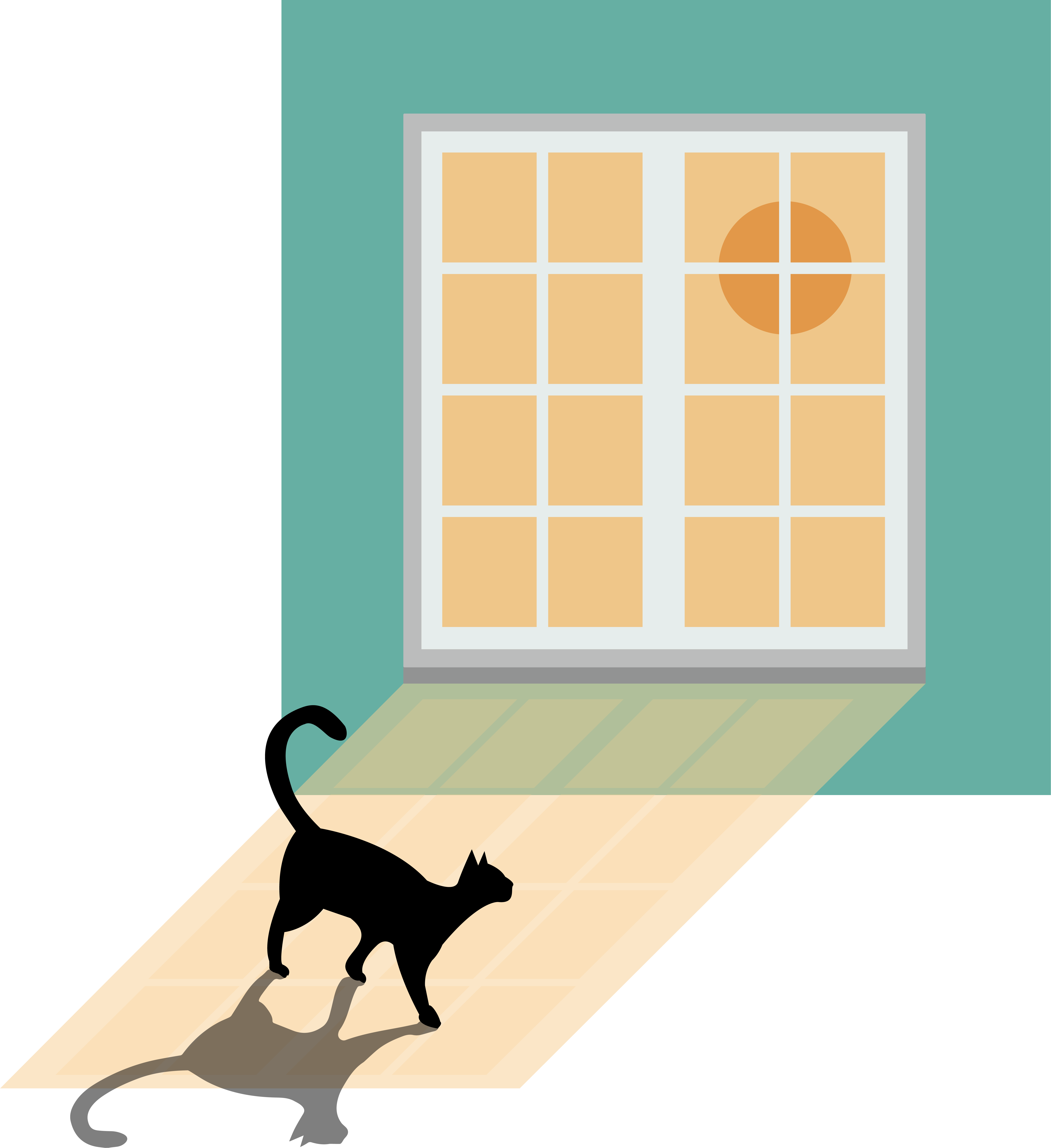 morning cat