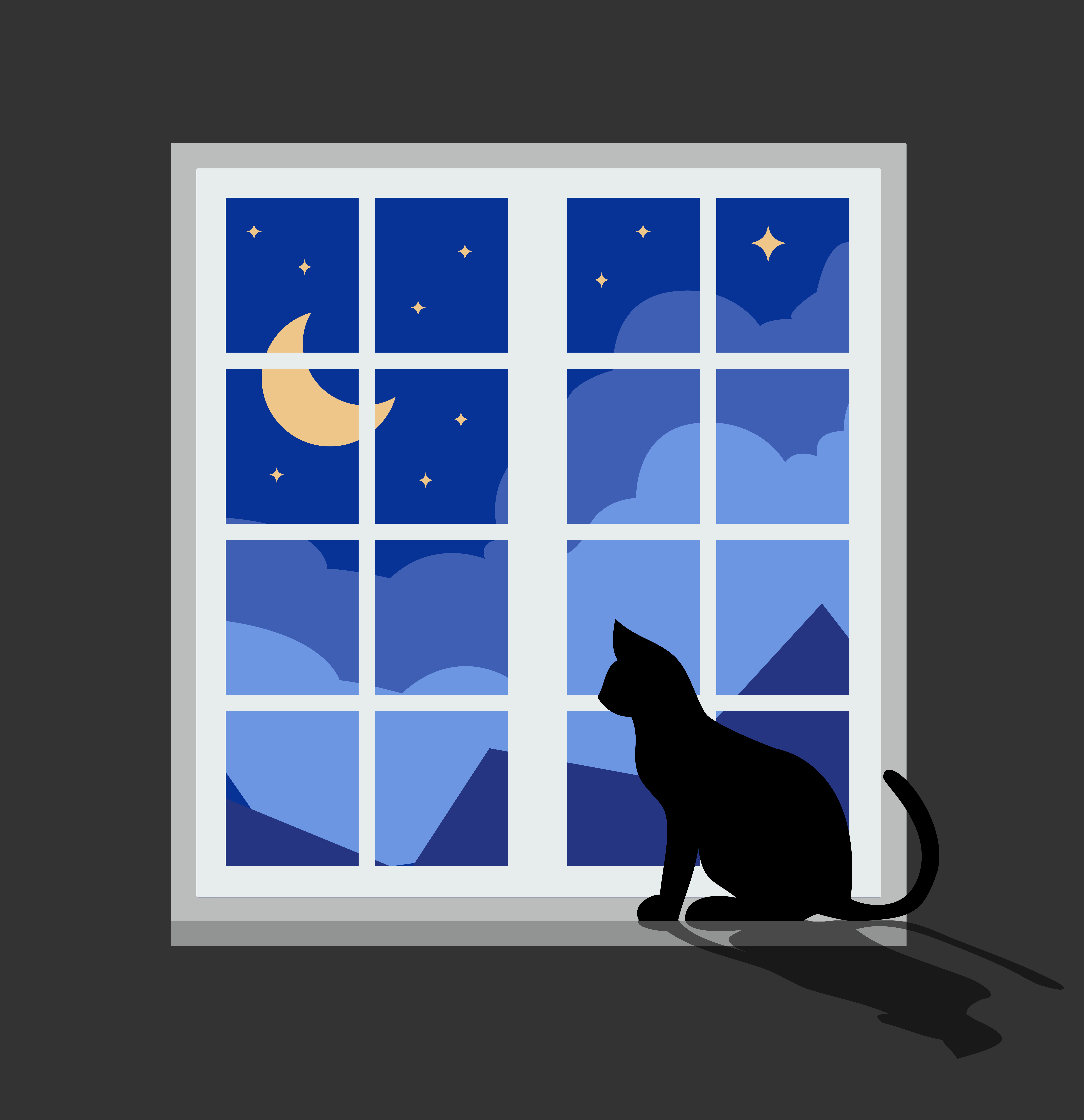 night cat